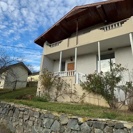 Teos Nowo-Panitsharewo